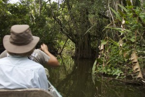 The Jungle canoe trip