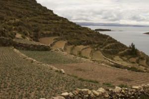 But they do farm, these terraces were build by the pre-inks, 200BC and still used today