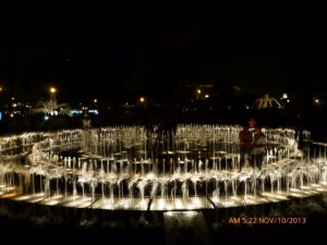 The water maze!