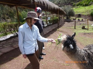 The farmer feeding the livestock!