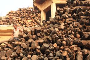 Stakes and stakes ready for use