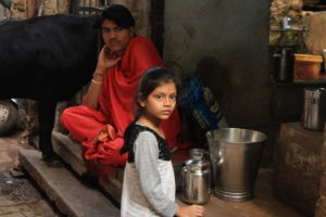 Young 8 year old selling fresh milk along the wood cart pathway.