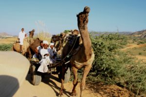 Heading for the market.