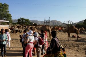 The auction grounds for camels 