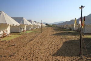 We think there was about three hundred tents in rows like this.